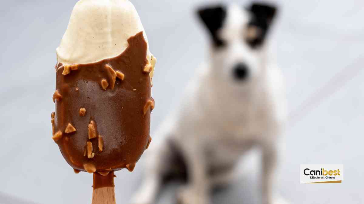 fleurs-produits-toxiques-chiens