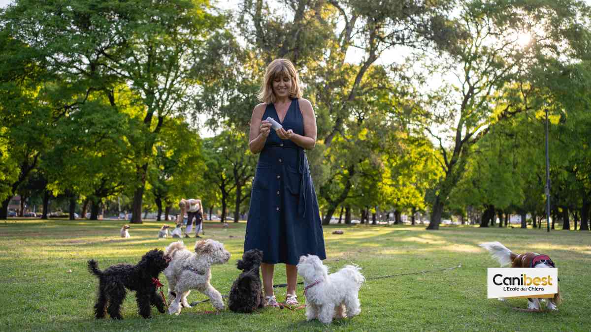 métiers avec les animaux
