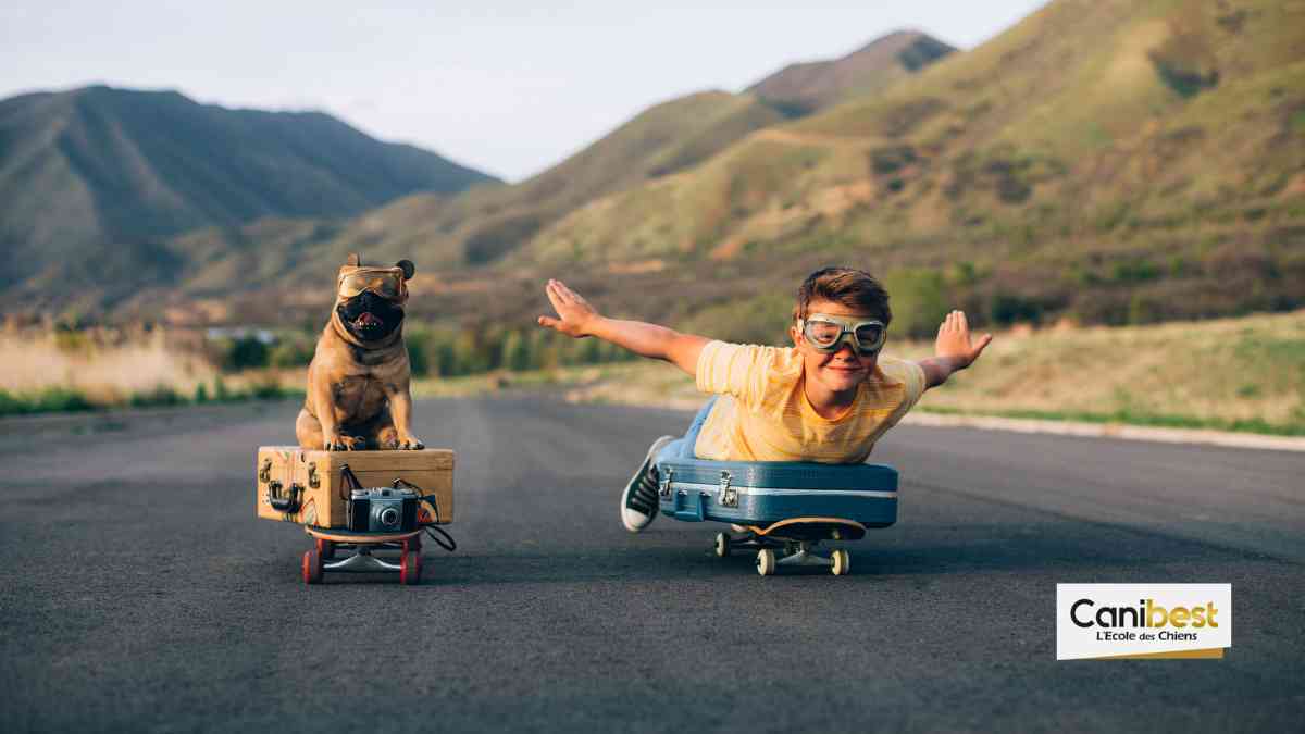voyager avec son chien en Amérique