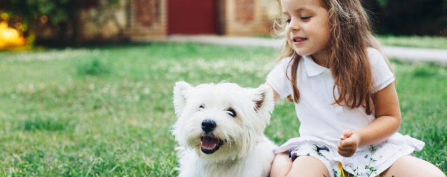 Le comportement canin expliqué à 1500 enfants