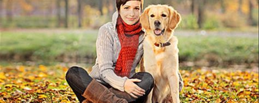 Dépistage de cancer grâce à l'odorat canin