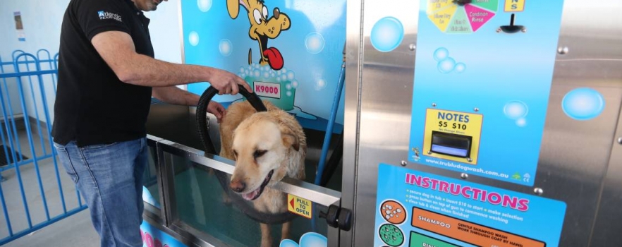 Gironde : Une laverie automatique pour chien ouvre ses portes