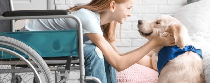 Seine maritime (76) : Des chiens en soutient d'enfants handicapés