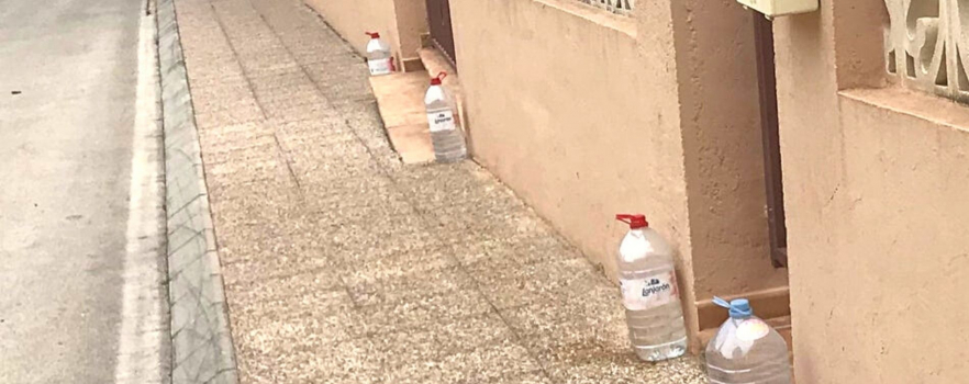 Chiens errants à Maurice : des bouteilles d’eau pour les éloigner