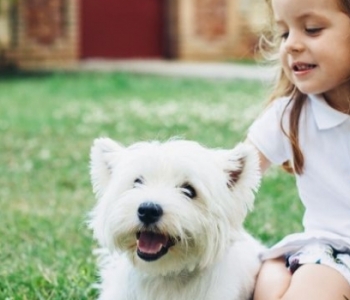 Le comportement canin expliqué à 1500 enfants