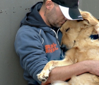 Lyon (69) : Des vétérinaires soignent gratuitement des chiens de SDF