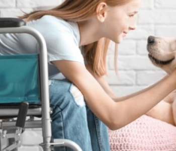 Seine maritime (76) : Des chiens en soutient d'enfants handicapés