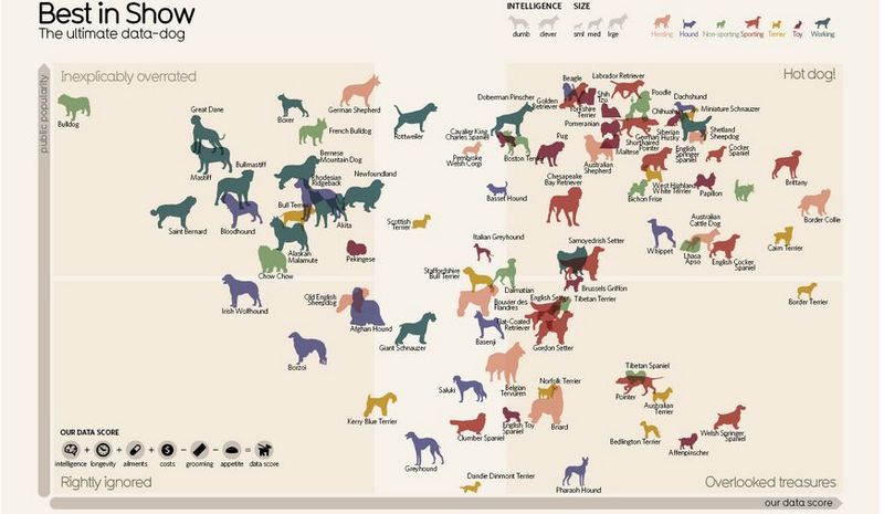 classement des races de chiens