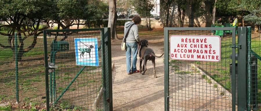 Les parcs autorisés aux chiens à PARIS (75)