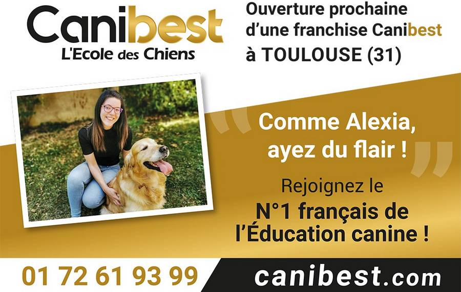 tarifs éducateurs canin à Toulouse et en Haute Garonne (31)