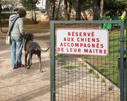 quels sont les parcs autorisés aux chiens à paris ?