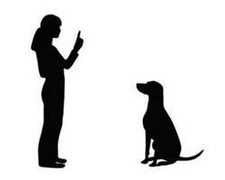 comment parler au chien
