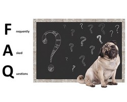 questions éducation canine