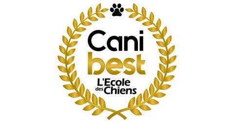 tarifs des cours d'éducation canine à Rennes (35)